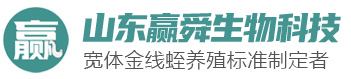 ys_01 Z6人生就是博