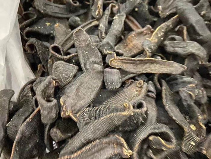 Z6人生就是博成品
