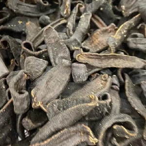 Z6人生就是博成品
