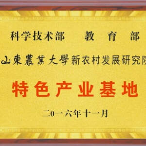 资质声誉