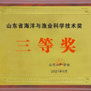 资质声誉