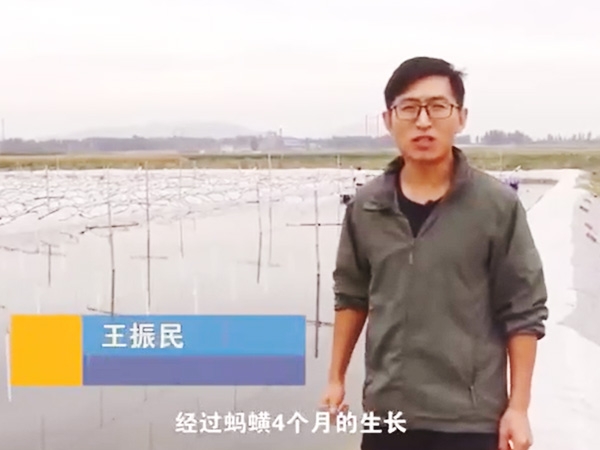 Z6人生就是博收获流程