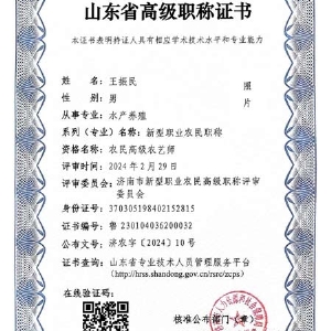 山东省高级职称证书